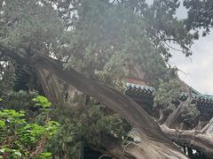 -晋祠博物馆