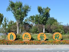 -天津东丽湖风景区