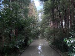 -同里国家湿地公园