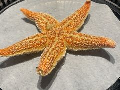 -鼎香缘海鲜自助火锅烤肉(锦辉购物广场店)