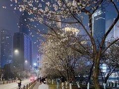 -西北湖绿化广场