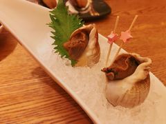 海螺-乐亭日本料理(彩虹本店)