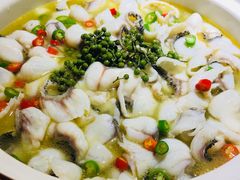 -青花椒花椒鱼(合生汇店)