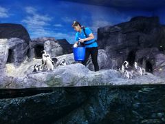 -暹罗海洋世界