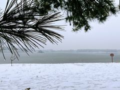 -大兴滨河森林公园