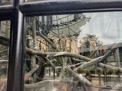 -石排湾郊野公园