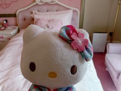 -安吉Hello Kitty乐园