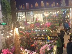 -双季花艺园艺市场(浦东店)