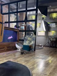 -青木造型HAIR·あおき髪を刈る潮人店