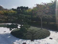 -嘉定紫藤园