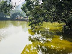 -四海公园(南山区)