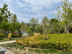 -南宫五洲植物乐园