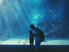 -福州罗源湾海洋世界旅游区