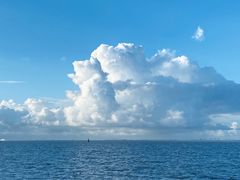-上海滨江森林公园