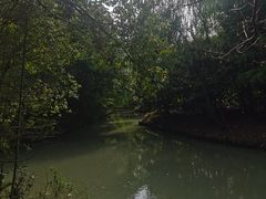 -同里国家湿地公园