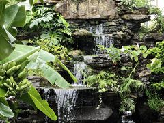 -顺德渔村·岭南一号