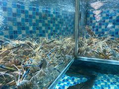 -农汤老店(顺联公园里店)