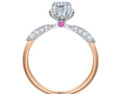 -钻石小鸟钻戒婚戒定制(石路店)