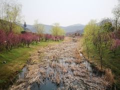 -石塘人家