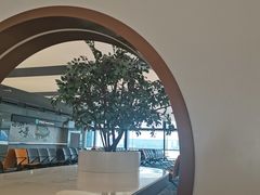 -杭州萧山国际机场