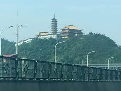 -浔味·山屿湖·正宗全鱼宴老字号