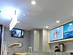 -雾与山茶(大禹城店)