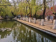 -翠湖公园