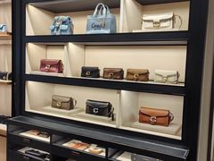 -COACH蔻驰(双安商场店)
