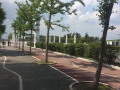 -丁香湖公园