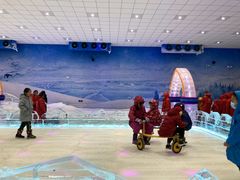 -宁波冰雪大世界(北仑区)