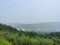 -冶父山国家森林公园
