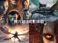 -万达影城(汉街万达广场IMAX店)