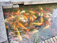 -月牙潭公园