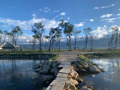 -洱海月湿地公园