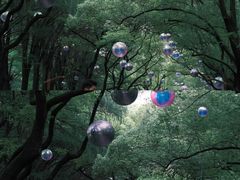 -上海共青森林公园