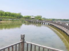 -天津东丽湖风景区