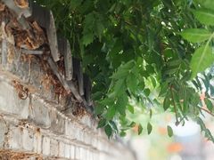 -兰陵国家农业公园