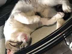 -UNI UNI(环亚凯瑟琳店)