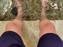 -中家鑫园温泉酒店鑫悦汤泉