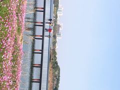 -海珠湖公园