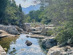 -禅宗少林·音乐大典