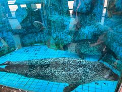 -沈阳森林动物园