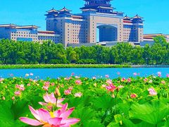 -莲花池公园