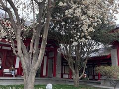 -大慈恩寺(大雁塔)