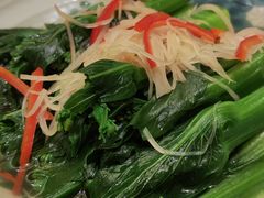 盐水菜心-沙龙酒家