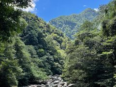 -炎陵县神农谷国家森林公园