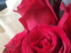 -花木兰花艺MULAN(温馨花园店)