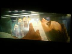 -万达影城(潍坊万达广场IMAX店)