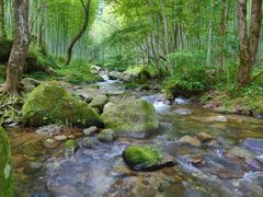 -井冈山风景名胜区