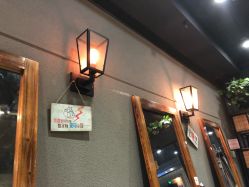 -藤野造型